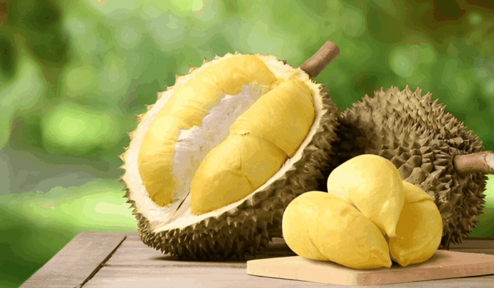Manfaat Durian